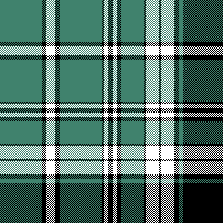 cotfil medium check #09