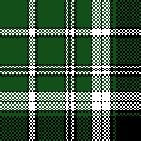 cotfil medium check #09