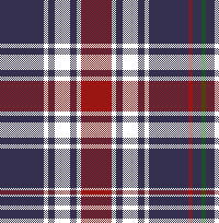 cotfil medium check #010