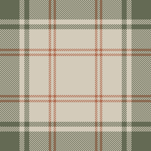 W&P Plaid Tartan 3