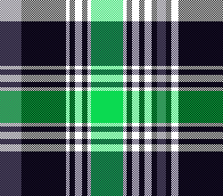 cotfil medium check #11