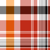 cotfil medium check #12