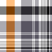 cotfil medium check #12