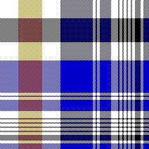 cotfil medium check #12