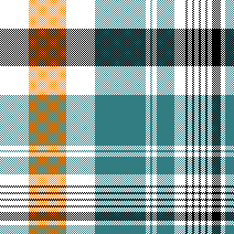 cotfil medium check #12