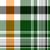 cotfil medium check #12