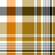 cotfil medium check #12