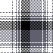 cotfil medium check #13