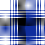 cotfil medium check #13