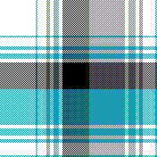 cotfil medium check #13