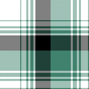 cotfil medium check #13