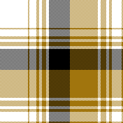 cotfil medium check #13