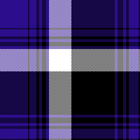 cotfil medium check #13 A