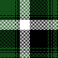 cotfil medium check #13 A