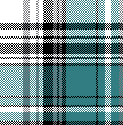 cotfil medium check #14