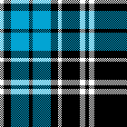 cotfil medium check #17