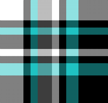 cotfil medium check #18