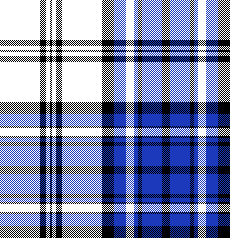 cotfil medium check #19