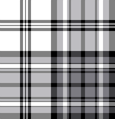 cotfil medium check #19