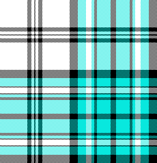 cotfil medium check #19