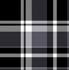 cotfil medium check #01