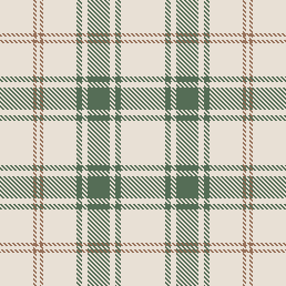 W&P Plaid Tartan 4