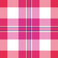 Bright Winter Plaid