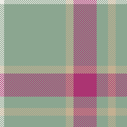 AW22 W SAGE CHECK TRAD 2