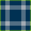 Seahawk Plaid