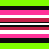 RageMuffin Envy Plaid by LLD