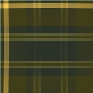 FW22/23 Reed check shirt JC R