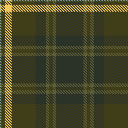 Reed check shirt FW22/23 JCR