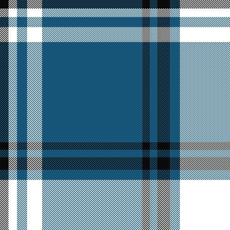 Ashraful-Pinaki(Blue,White,Black Check)