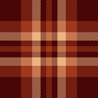 i like a guy in plaid flannel