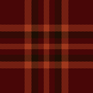 sundown in the forest