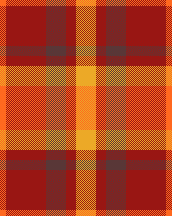 look at all that fall colour