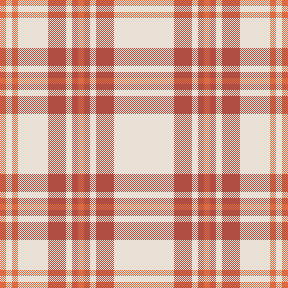 Amber plaid 1
