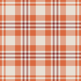 Amber plaid 3