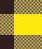 yellow black stripe 2