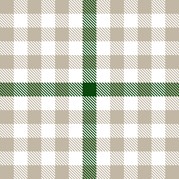 Gingham Overlay