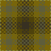 soup for lunch and dinner