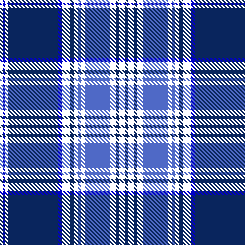 BLUE PLAID 1