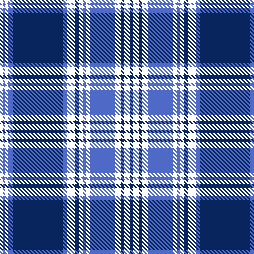 SIMPLE BLUE PLAID 2