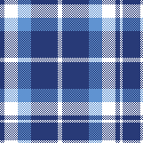 BLUE CROSS PLAID 2