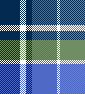 BLUE OLIVE PLAID