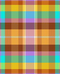 craziness in the house