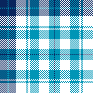 TEAL NAVY PLAID