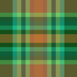 Sister's plaid shorts