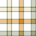 Thanksgiving plaid