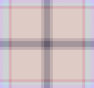 flying kites for Charity